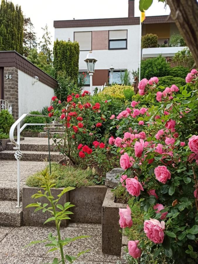 Apartments Gala, Ruhige Lage, Stadtnah バート・キッシンゲン エクステリア 写真